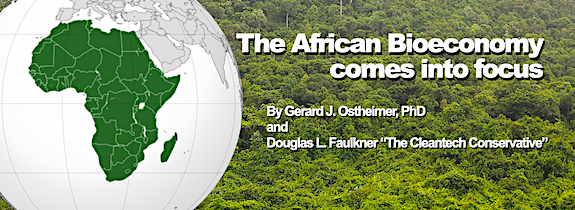 The African Bioeconomy comes into focus