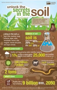 Soil Carbon Capture Sequestration, Low Carbon Intensity Scores and the Small Water Cycle: The Symbiotic Connection  