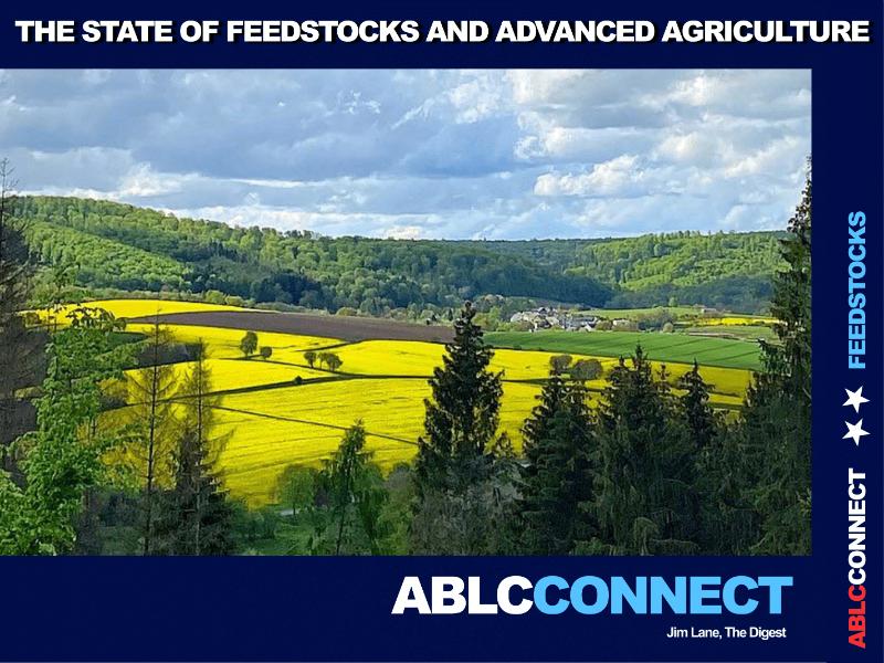 The Digest’s 2024 Multi-Slide Guide to the State of Renewable Feedstocks and Agriculture