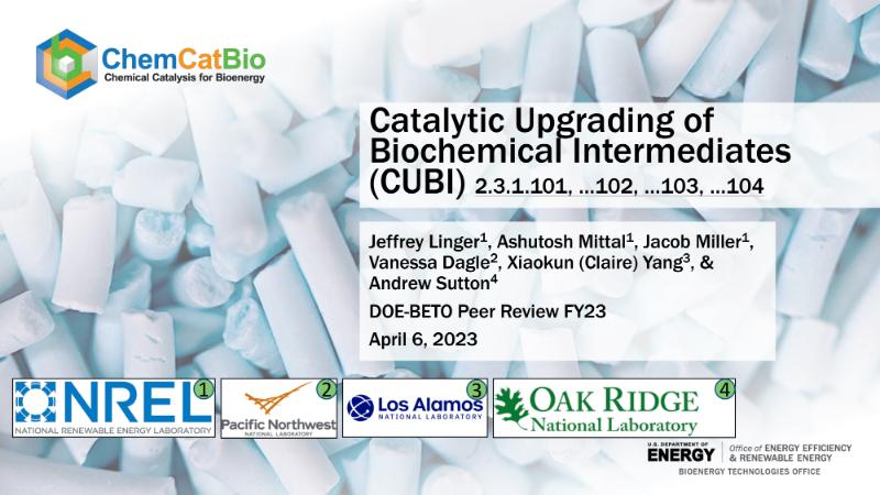 The Digest’s 2024 Multi-Slide Guide to Catalytic Upgrading of Biochemical Intermediates