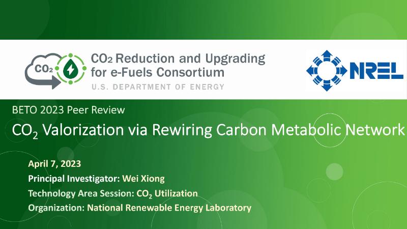 The Digest’s 2024 Multi-Slide Guide to  CO2 Valorization via Rewiring Carbon Metabolic Network