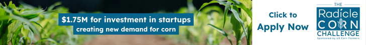 Radicle Corn Challenge - Click to learn more