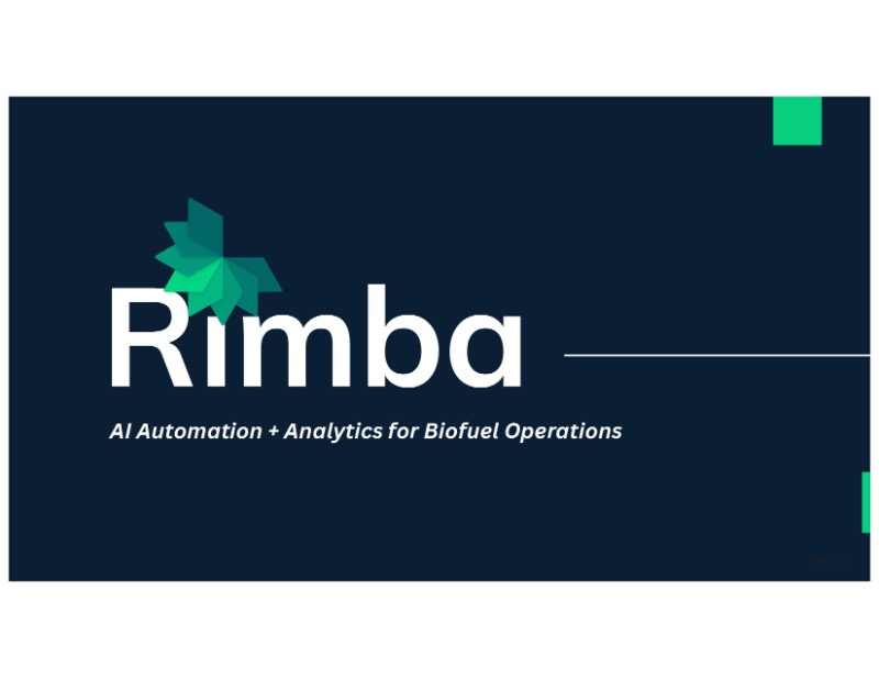 The Digest’s 2025 Multi-Slide Guide to Rimba.ai 